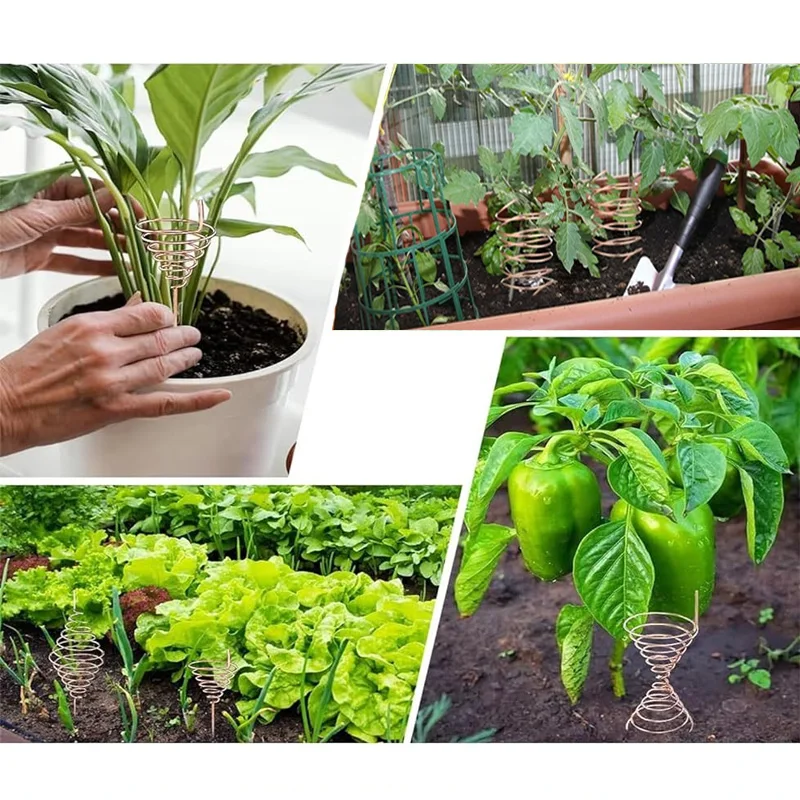 1-10M Bare Copper Wire Pure Copper Wire T2 Copper Coil Conductive Copper Wire, Bare Line Diameter 0.1/0.15/0.2/0.3/0.4/0.5-5mm 4